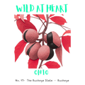 Ohio Nature Explorer Gift Set – Activity Books + Wild at Heart Tote