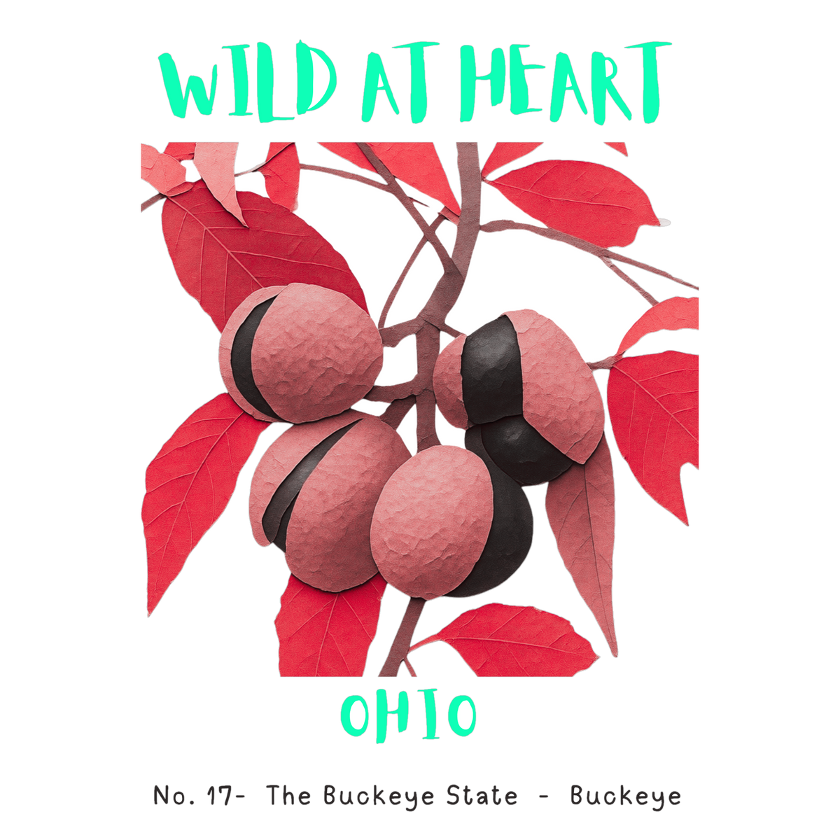 Ohio Nature Explorer Gift Set – Activity Books + Wild at Heart Tote