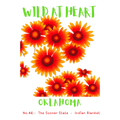 Oklahoma Nature Explorer Gift Set – Activity Books + Wild at Heart Tote