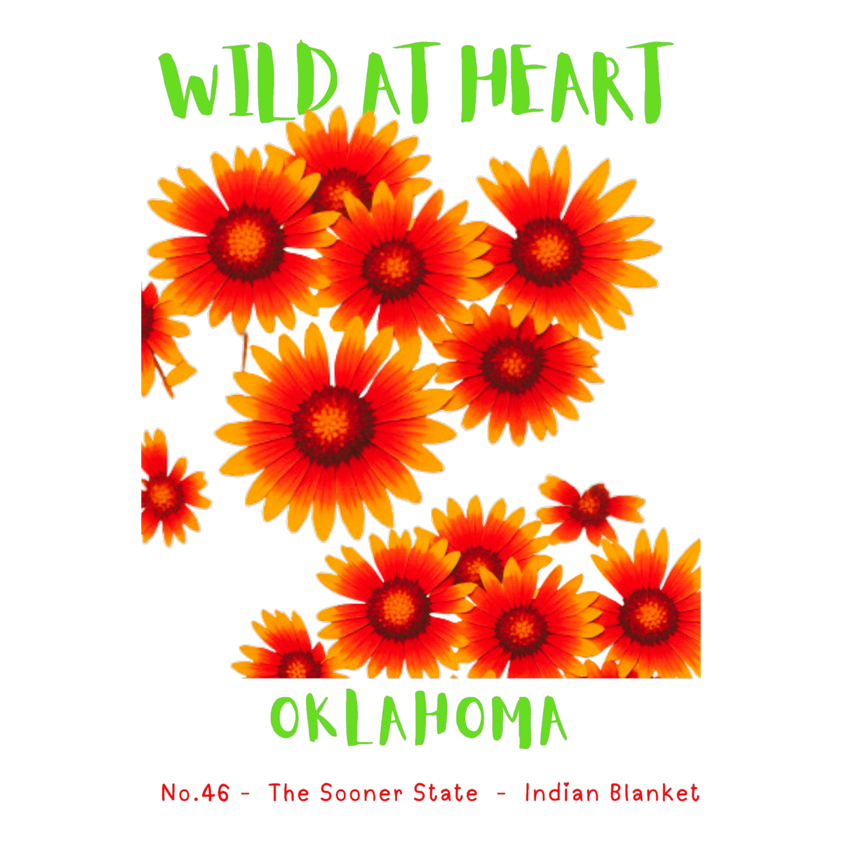 Oklahoma Nature Explorer Gift Set – Activity Books + Wild at Heart Tote