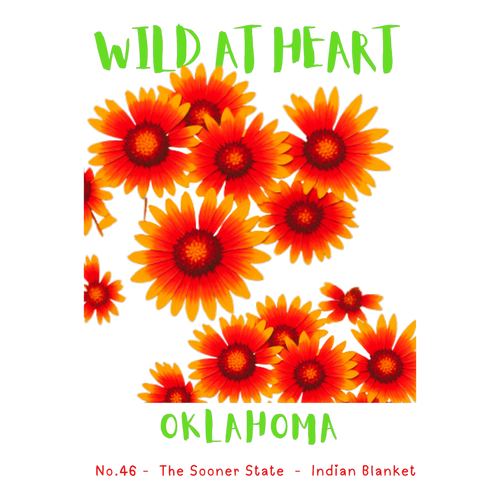 Oklahoma Nature Explorer Gift Set – Activity Books + Wild at Heart Tote