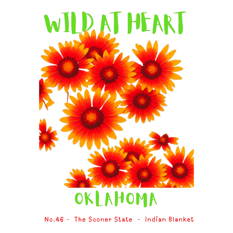 Oklahoma Nature Explorer Gift Set – Activity Books + Wild at Heart Tote
