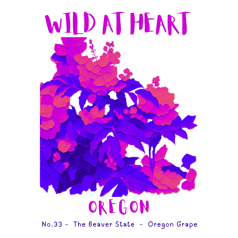 Oregon Nature Explorer Gift Set – Activity Books + Wild at Heart Tote