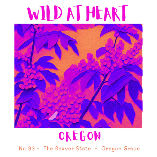 Oregon Nature Explorer Gift Set – Activity Books + Wild at Heart Tote