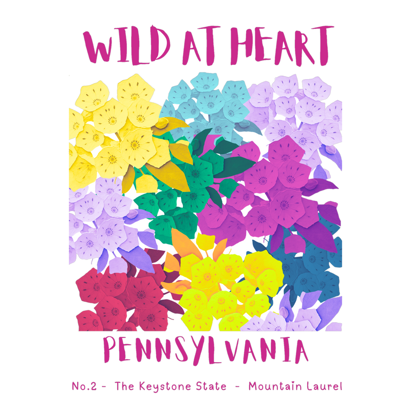 Pennsylvania Nature Explorer Gift Set – Activity Books + Wild at Heart Tote