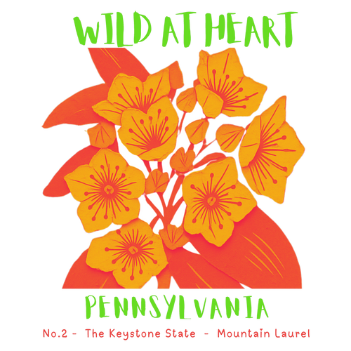 Pennsylvania Nature Explorer Gift Set – Activity Books + Wild at Heart Tote