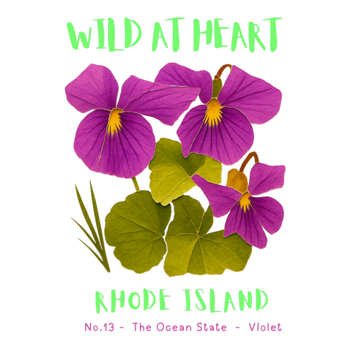Rhode Island Nature Explorer Gift Set – Activity Books + Wild at Heart Tote