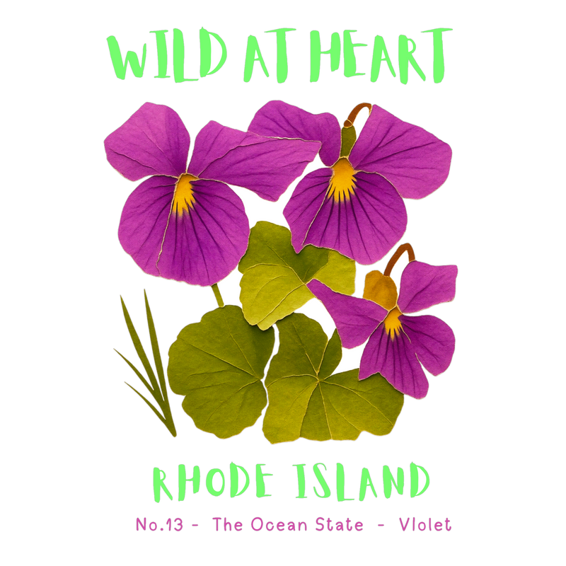 Rhode Island Nature Explorer Gift Set – Activity Books + Wild at Heart Tote