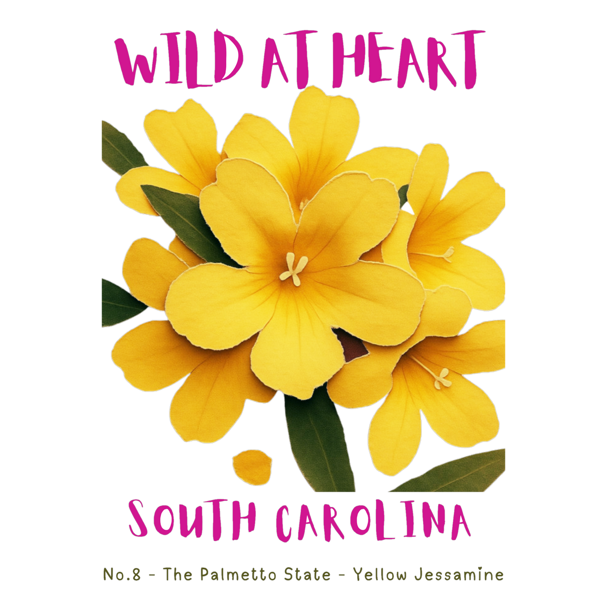 South Carolina Nature Explorer Gift Set – Activity Books + Wild at Heart Tote