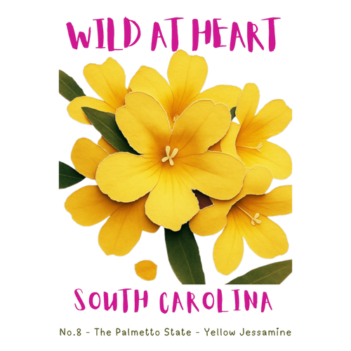 South Carolina Nature Explorer Gift Set – Activity Books + Wild at Heart Tote