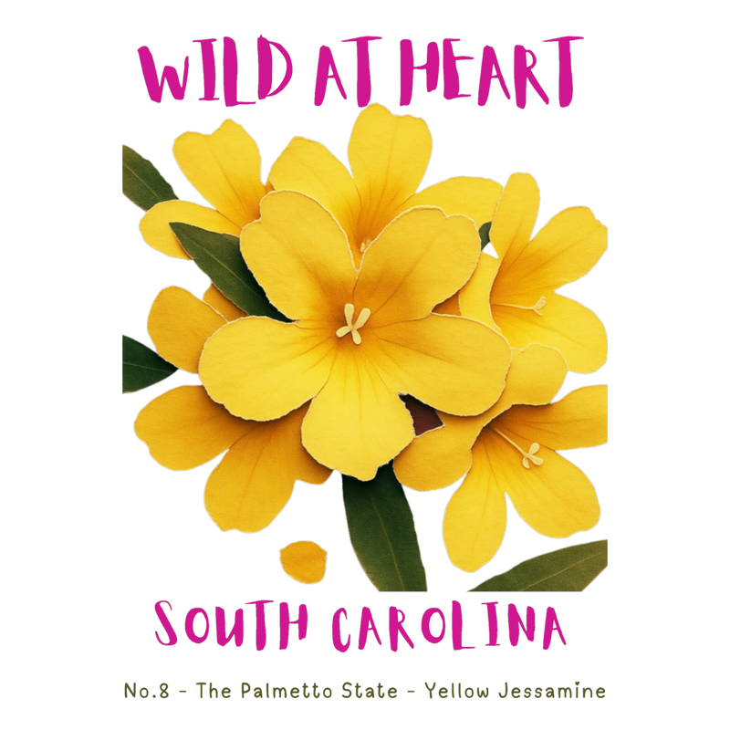 South Carolina Nature Explorer Gift Set – Activity Books + Wild at Heart Tote