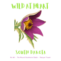 South Dakota Nature Explorer Gift Set – Activity Books + Wild at Heart Tote