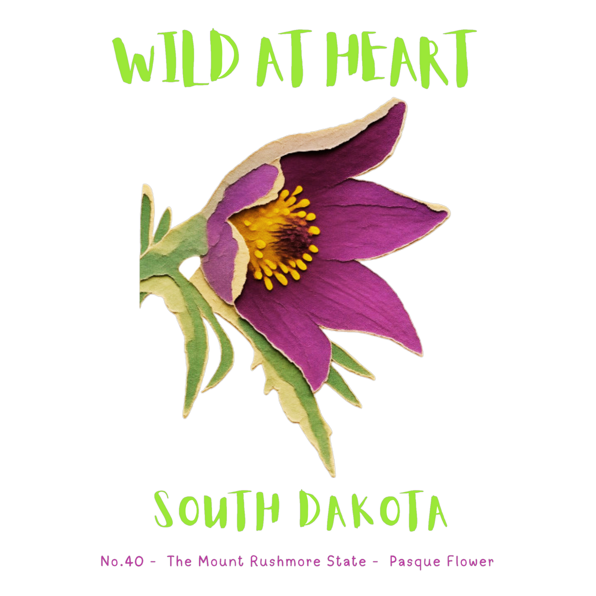 South Dakota Nature Explorer Gift Set – Activity Books + Wild at Heart Tote