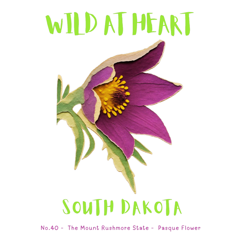 South Dakota Nature Explorer Gift Set – Activity Books + Wild at Heart Tote
