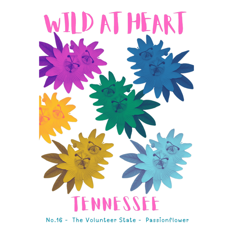 Tennessee Nature Explorer Gift Set – Activity Books + Wild at Heart Tote