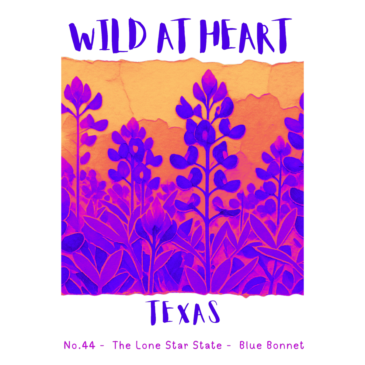 Texas Nature Explorer Gift Set – Activity Books + Wild at Heart Tote