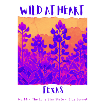 Texas Wild at Heart nature design