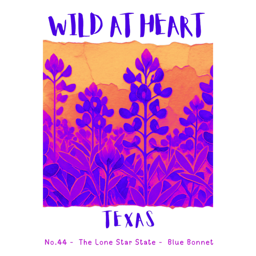 Texas Nature Explorer Gift Set – Activity Books + Wild at Heart Tote