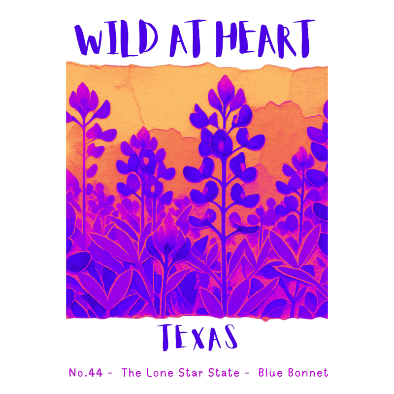 Texas Nature Explorer Gift Set – Activity Books + Wild at Heart Tote