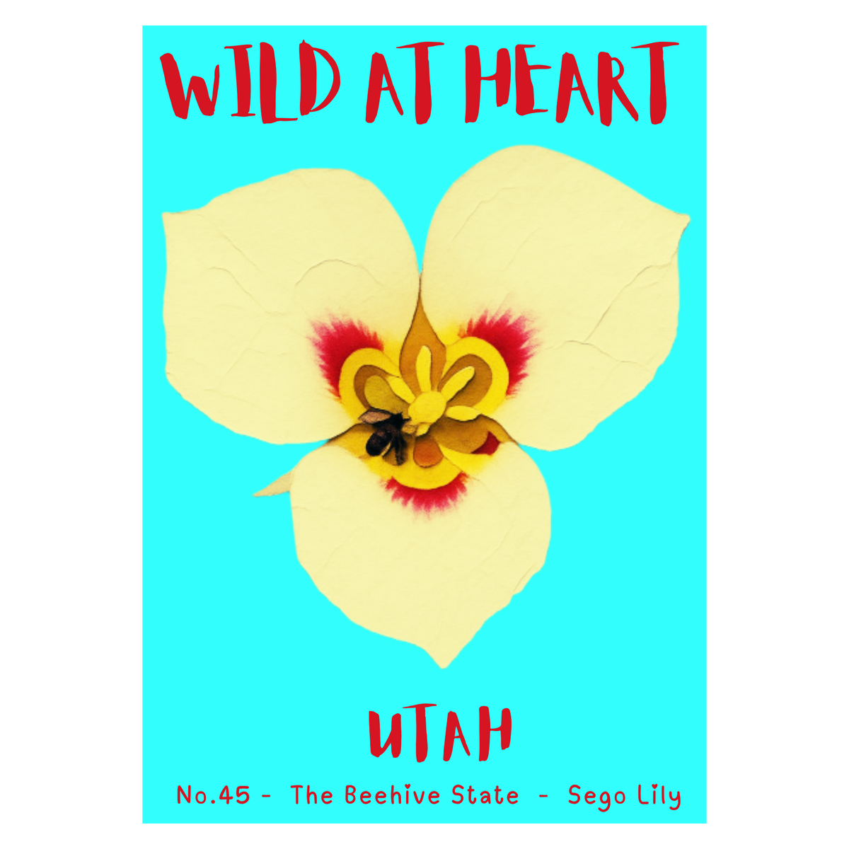 Utah Nature Explorer Gift Set – Activity Books + Wild at Heart Tote