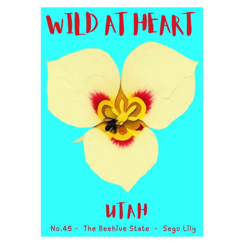 Utah Nature Explorer Gift Set – Activity Books + Wild at Heart Tote