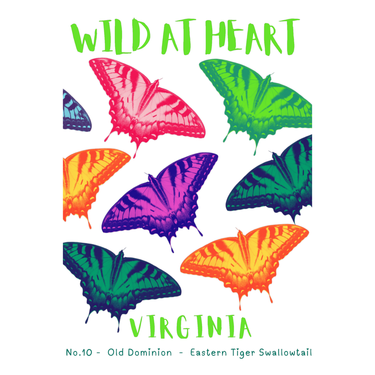 Virginia Nature Explorer Gift Set – Activity Books + Wild at Heart Tote