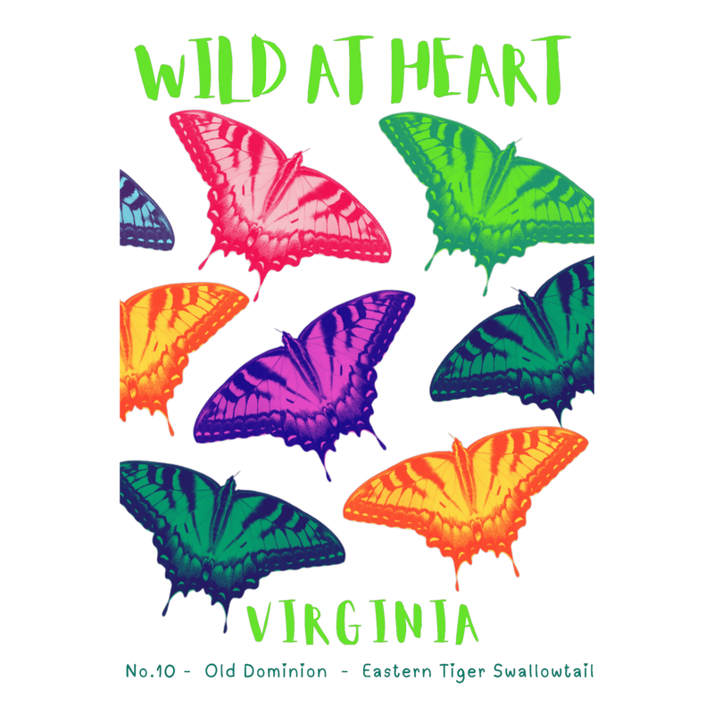 Virginia Nature Explorer Gift Set – Activity Books + Wild at Heart Tote