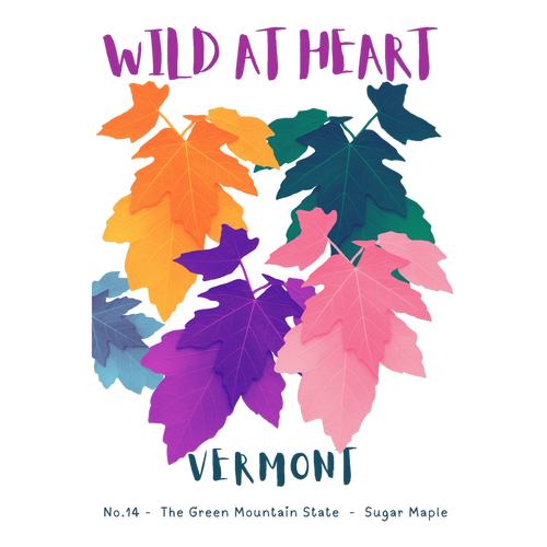 Vermont Nature Explorer Gift Set – Activity Books + Wild at Heart Tote