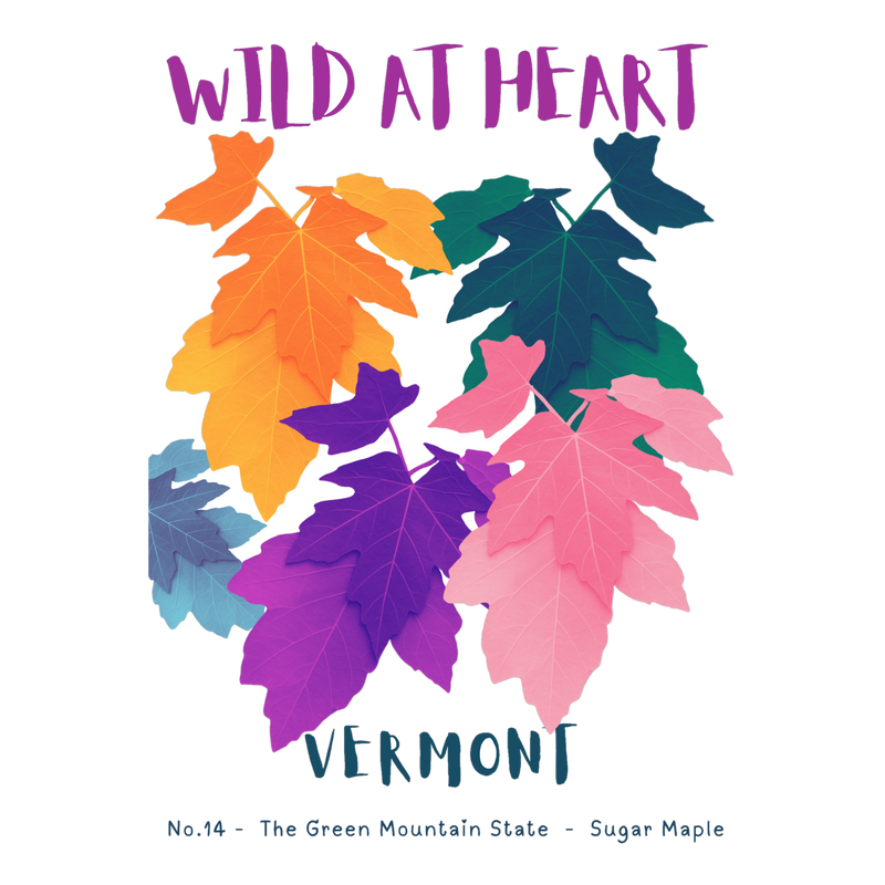 Vermont Nature Explorer Gift Set – Activity Books + Wild at Heart Tote