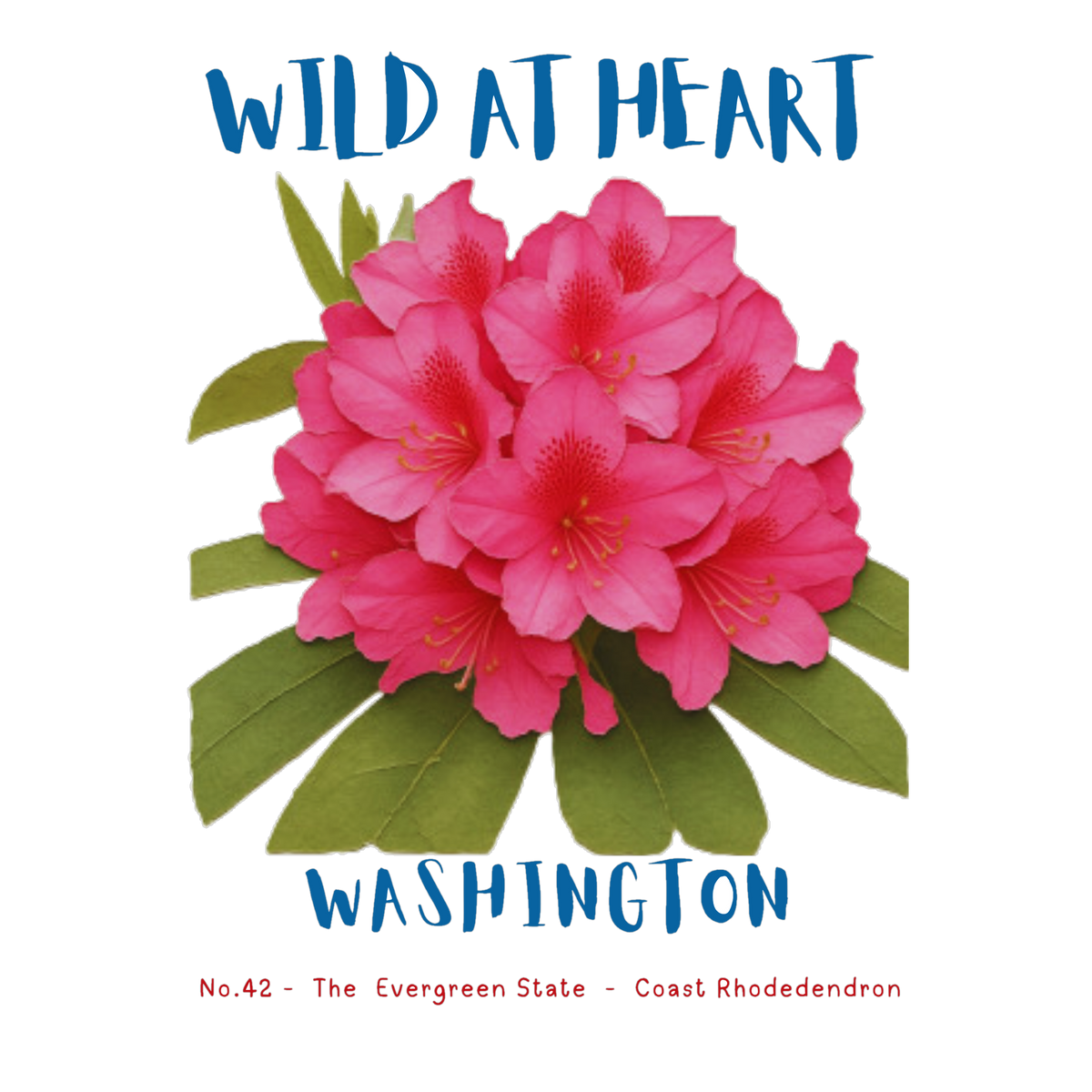 Washington Nature Explorer Gift Set – Activity Books + Wild at Heart Tote