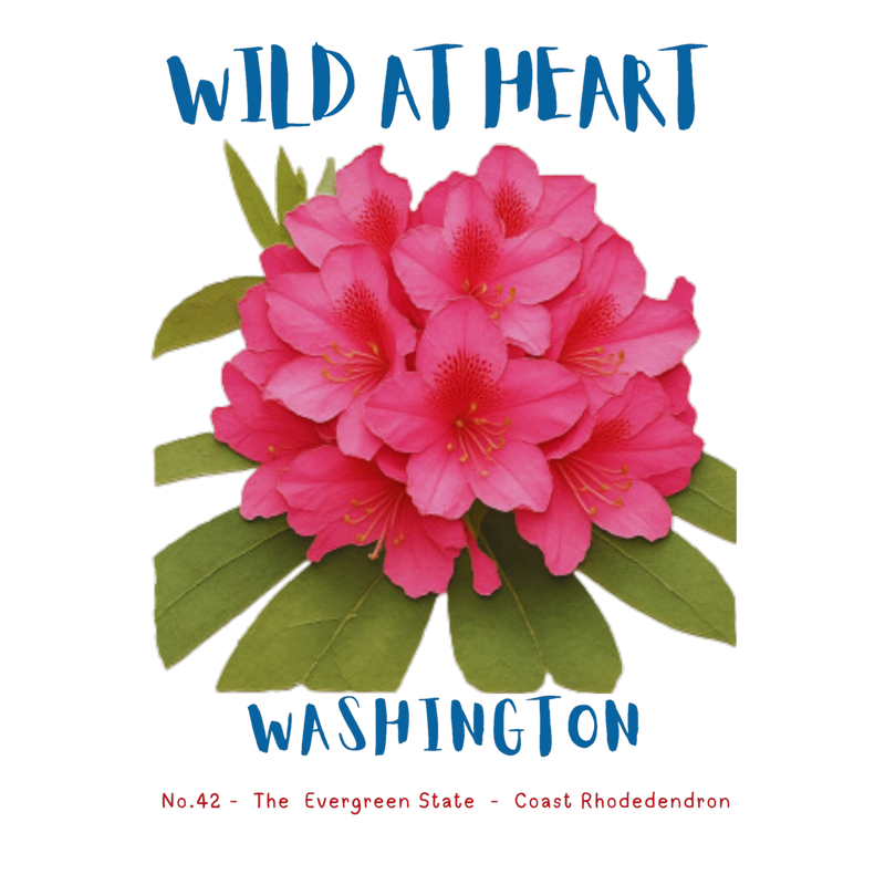 Washington Nature Explorer Gift Set – Activity Books + Wild at Heart Tote