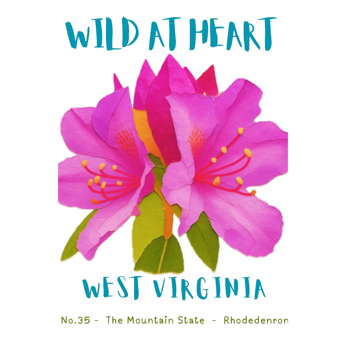 West Virginia Nature Explorer Gift Set – Activity Books + Wild at Heart Tote