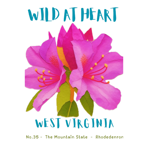 West Virginia Nature Explorer Gift Set – Activity Books + Wild at Heart Tote