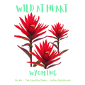 Wyoming Nature Explorer Gift Set – Activity Books + Wild at Heart Tote