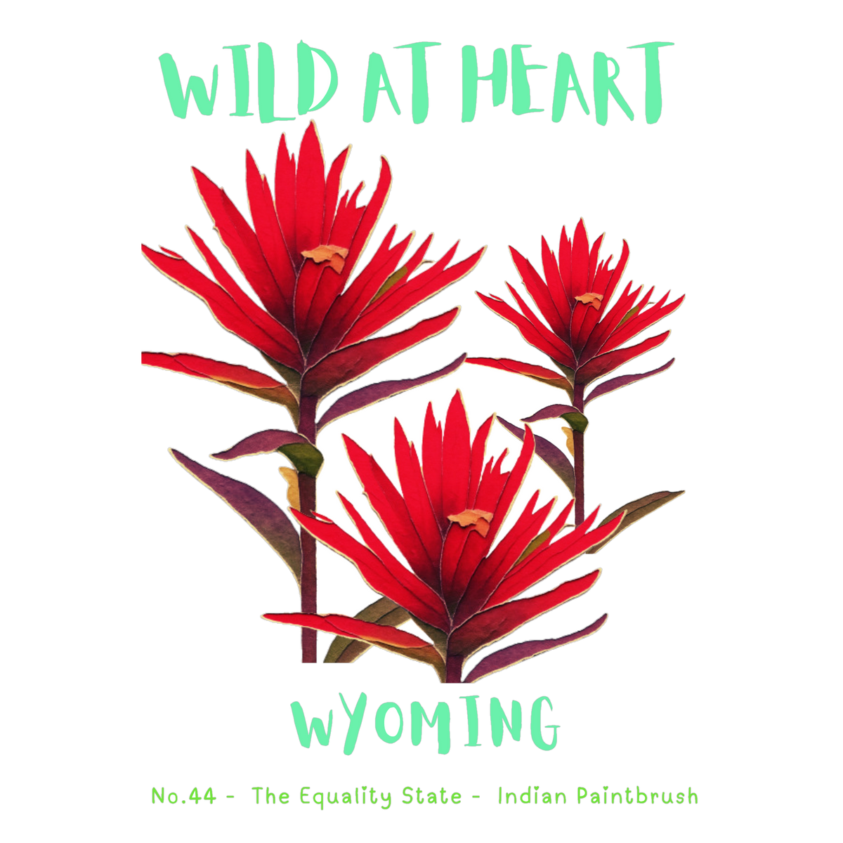 Wyoming Nature Explorer Gift Set – Activity Books + Wild at Heart Tote
