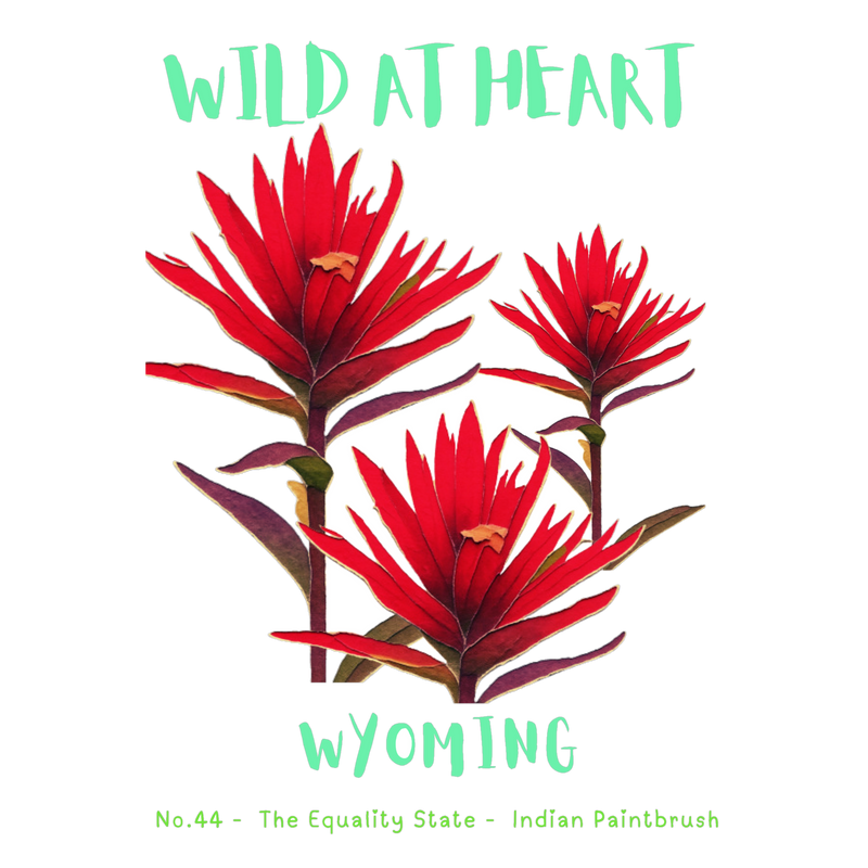 Wyoming Nature Explorer Gift Set – Activity Books + Wild at Heart Tote
