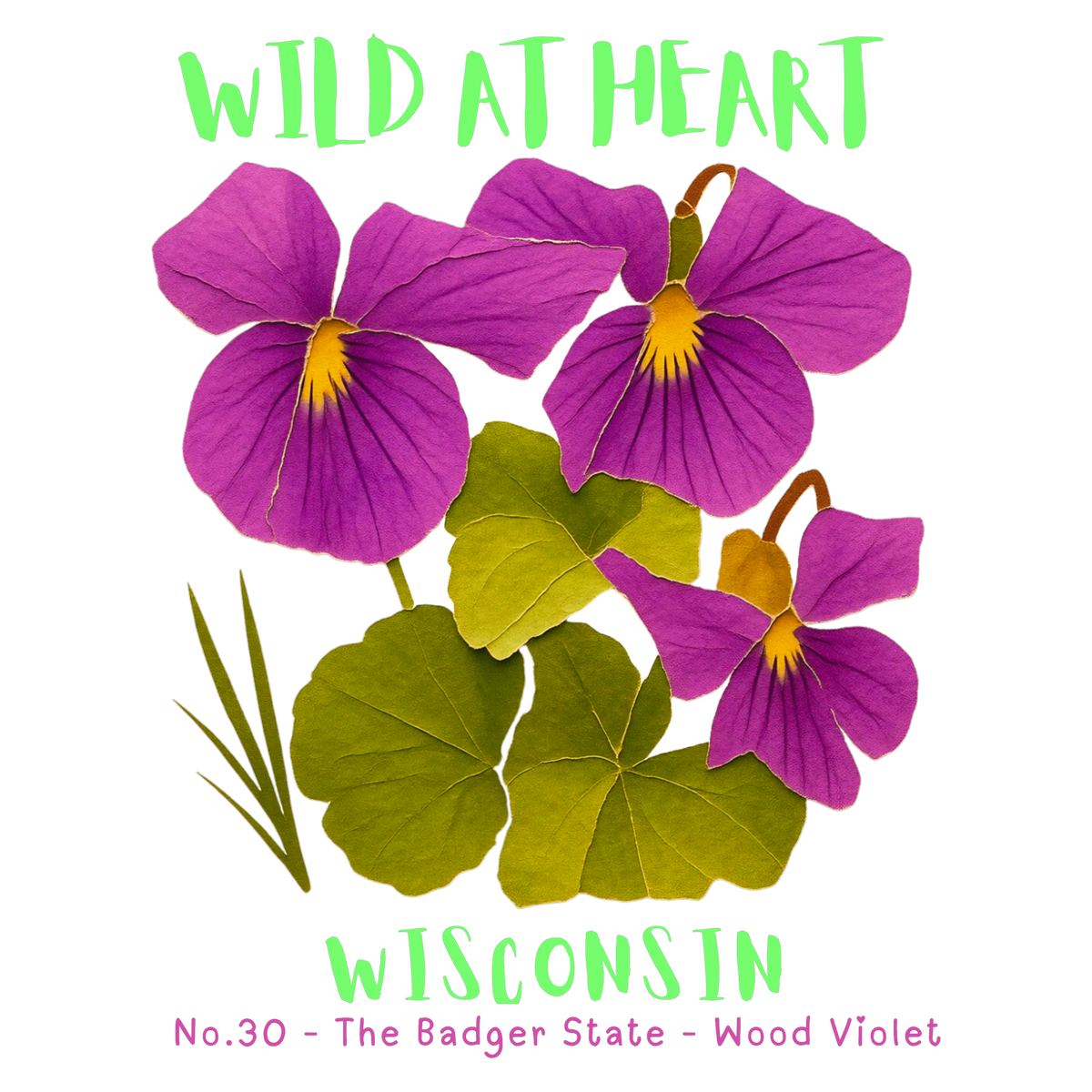 Wisconsin Nature Explorer Gift Set – Activity Books + Wild at Heart Tote
