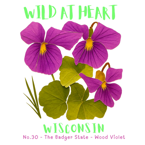 Wisconsin Nature Explorer Gift Set – Activity Books + Wild at Heart Tote
