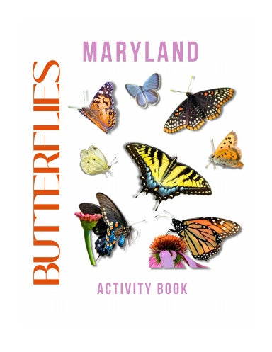 Butterflies of Maryland Activity Book for Kids