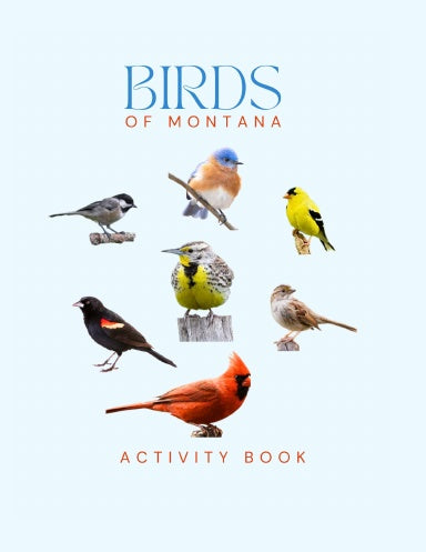 Birds of Montana Activity Book
