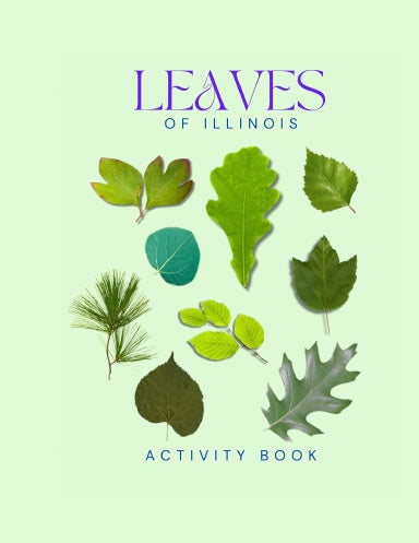 Leaves of Illinois Activity Book for Kids
