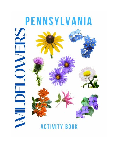 Wildflowers of Pennsylvania Activity Book for Kids