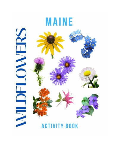 Wildflowers of Maine Activity Book for Kids