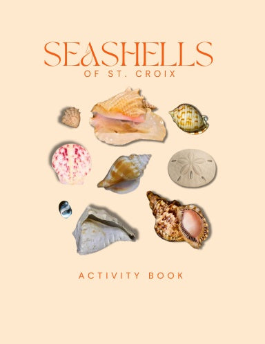 Seashells of St. Croix Activity Book for Kids Cover