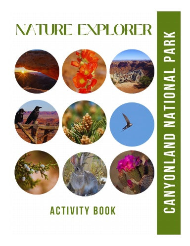 Book Cover Variant Thumbnail