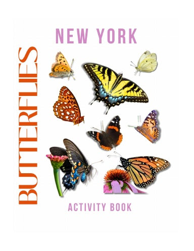Butterflies of New York Activity Book for Kids