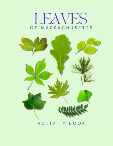 Leaves of Massachusetts Activity Book for Kids