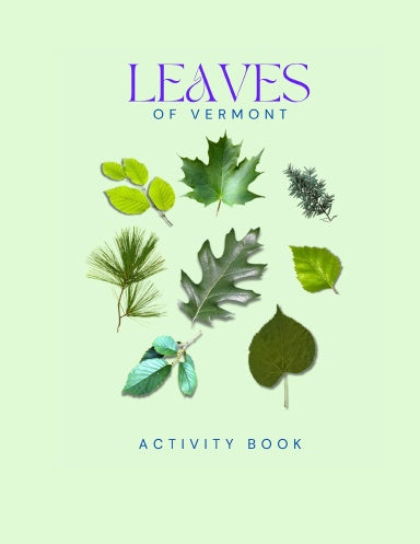 Leaves of Vermont Activity Book for Kids