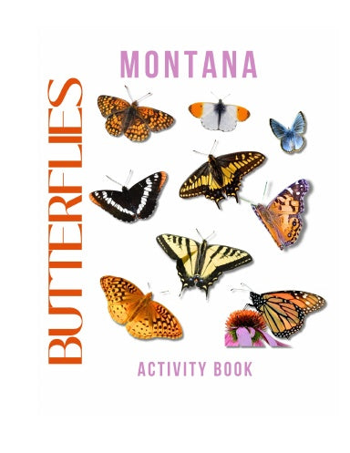 Butterflies of Montana Activity Book for Kids