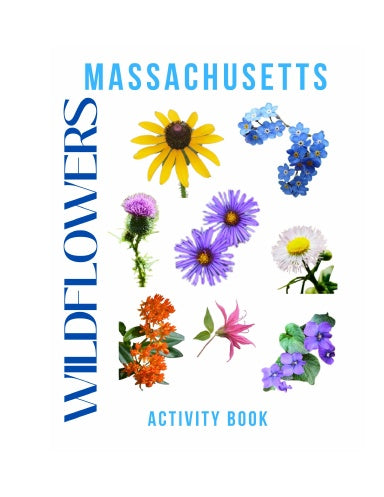 Wildflowers of Massachusetts Activity Book for Kids